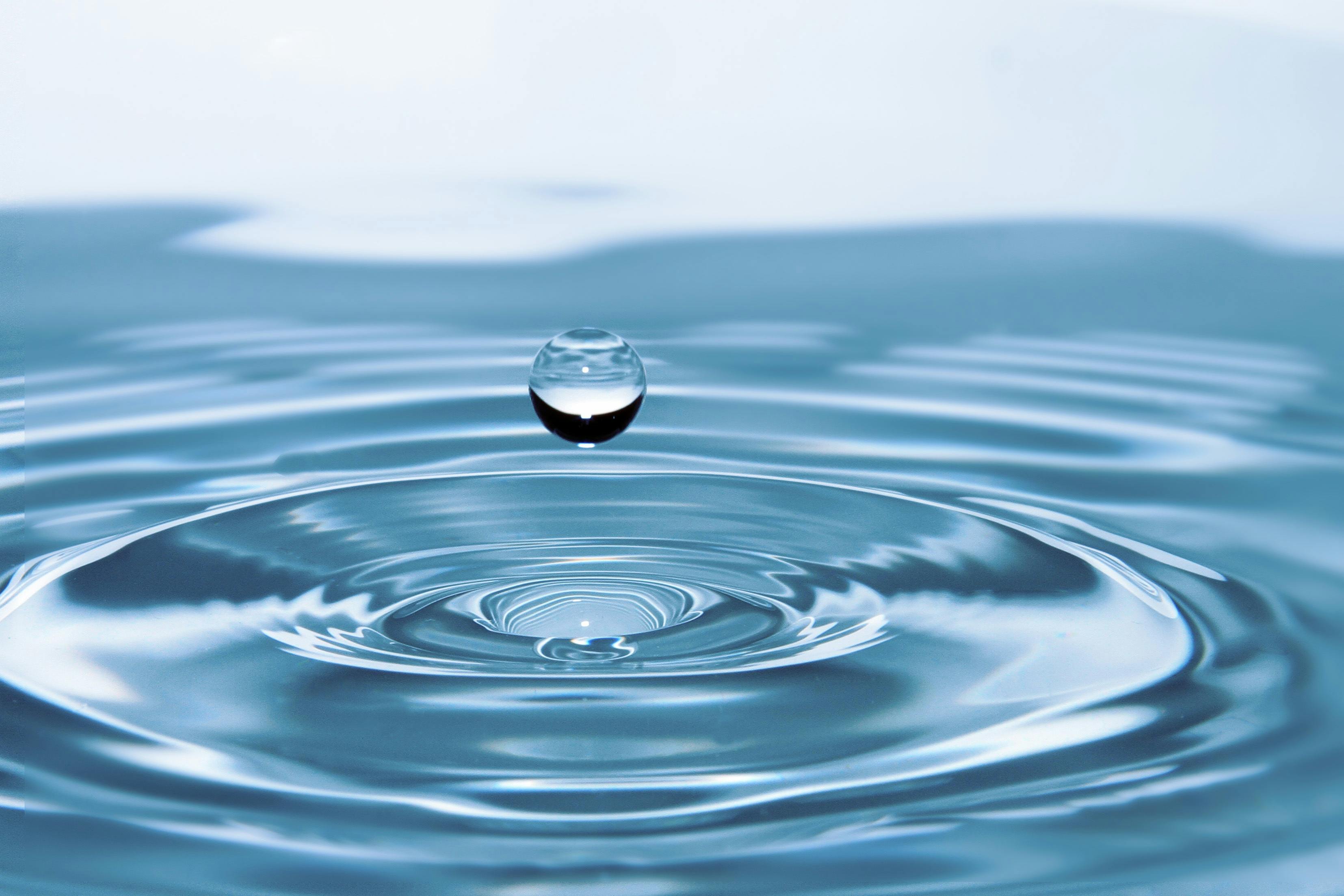 Hydrosols: Gentle Botanical Waters for Skin & Spirit