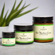 aloe moisture cream with aloe plant backround 3 sixes