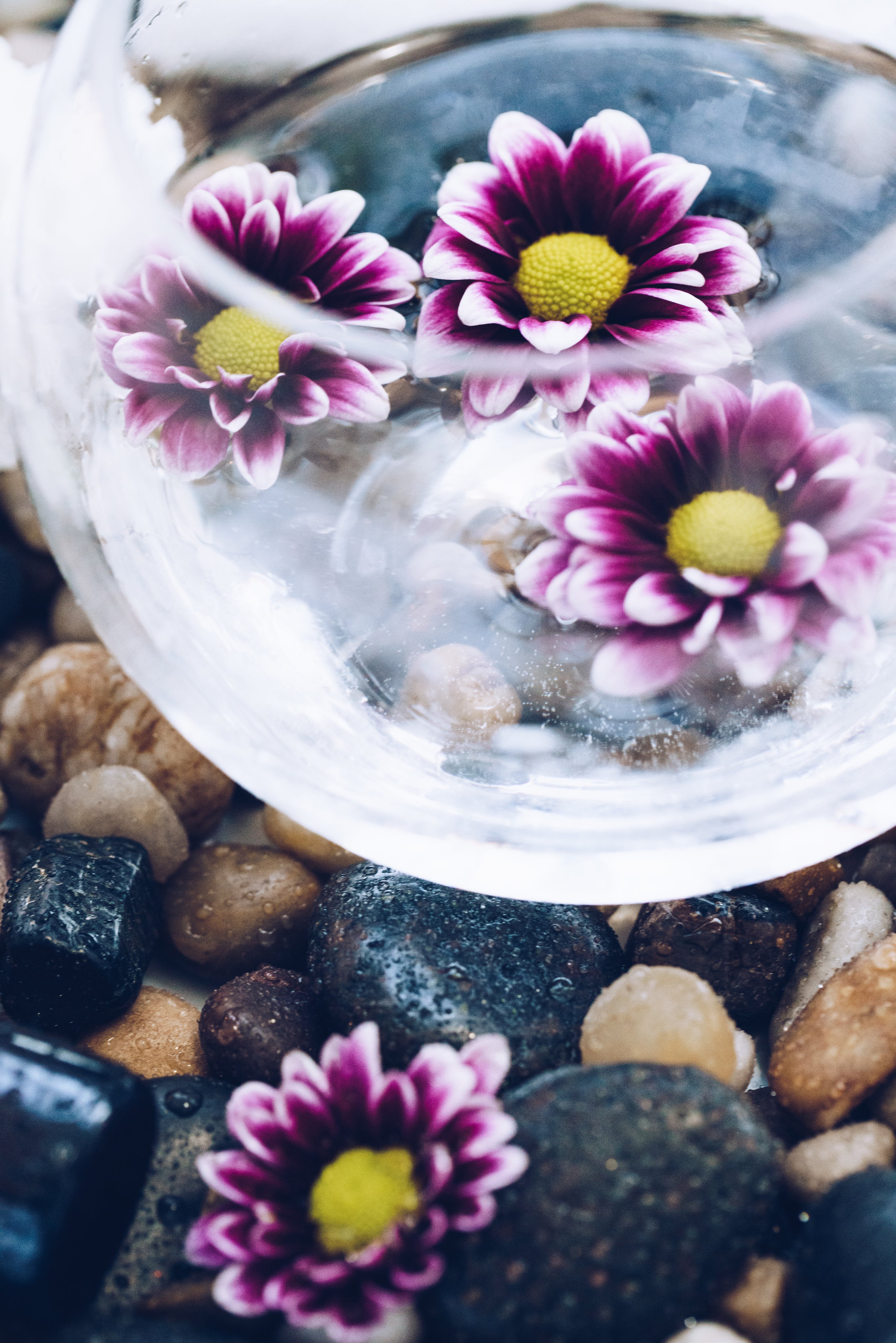 bowl-of-flowers-on-stone.jpg